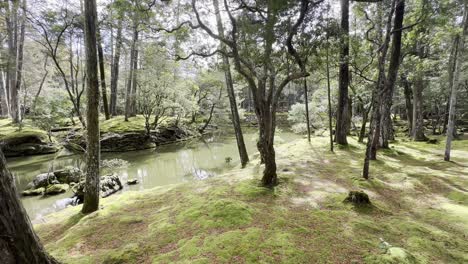 Slow-push-near-a-creek-in-Saihōji-Temple,-Kyoto-Japan