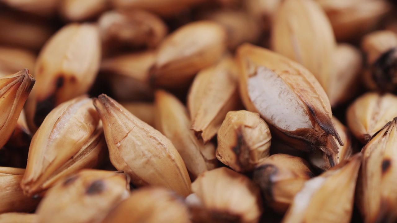 Close-up Macro Shot of Roasted Barley Grains