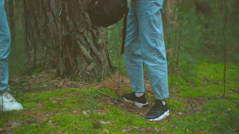 unteren blick auf frauen, die taschen in einem friedlichen wald abholen, umgeben von hohen bäumen und üppigem grün, bereiten sie sich darauf vor, ihre wanderung fortzusetzen und die taschen über die schultern zu befestigen