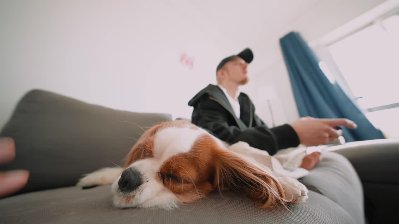 Dog sleeping on couch with man in background