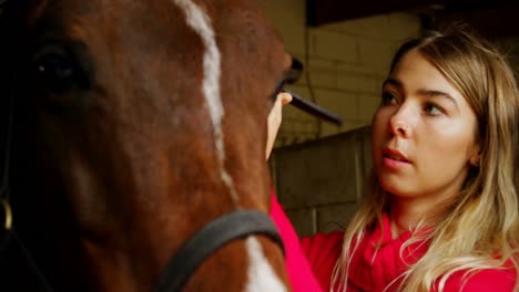 mujer llevando las riendas al caballo en el establo 4k