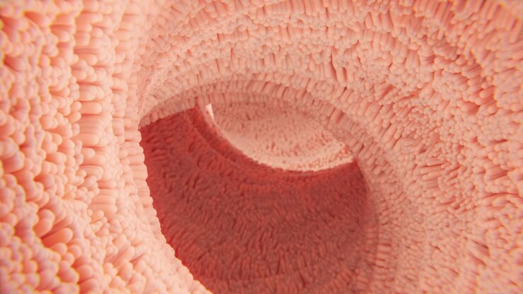 Intestinal flora in macro 3d rendered view