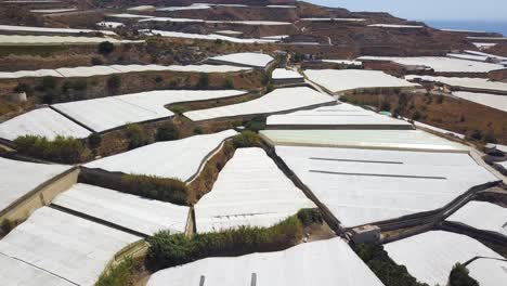 Vista-Aérea-De-Muchos-Invernaderos-Blancos-En-La-Costa