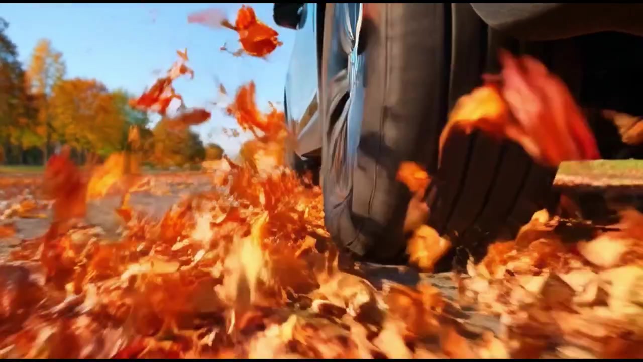 Car Driving Through Fallen Autumn Leaves on a Sunny Day