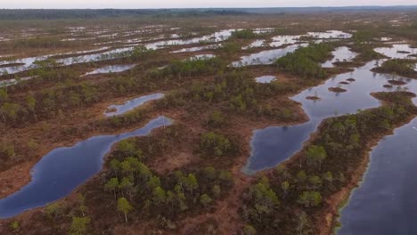 Rised-Bog-Vista-Aérea-De-Alto-Nivel-De-Agua-En-Otoño-En-Kemeri,-Latvis