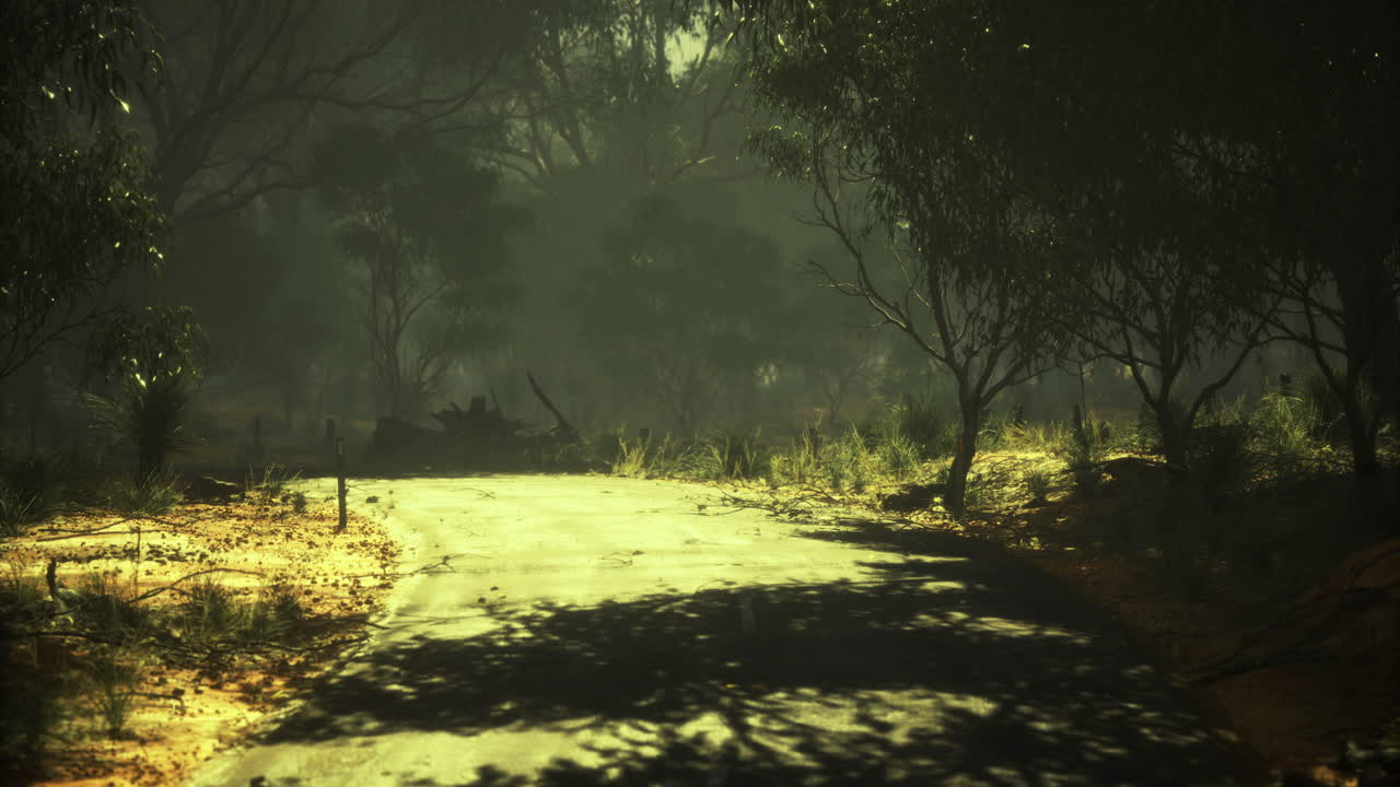 Mysterious path through the sunlit forest on a quiet afternoon