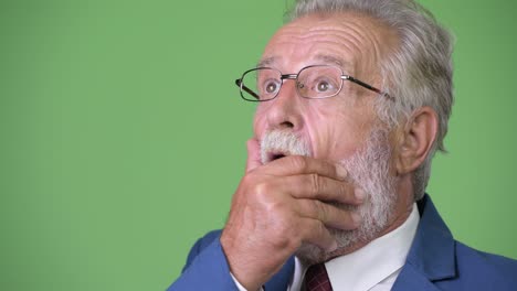 handsome senior bearded businessman against green background
