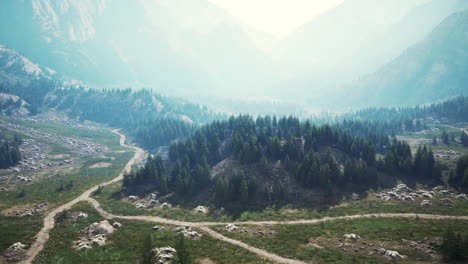 aerial view of green coniferous forest in the mountains