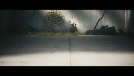 modern minimalist garden scene