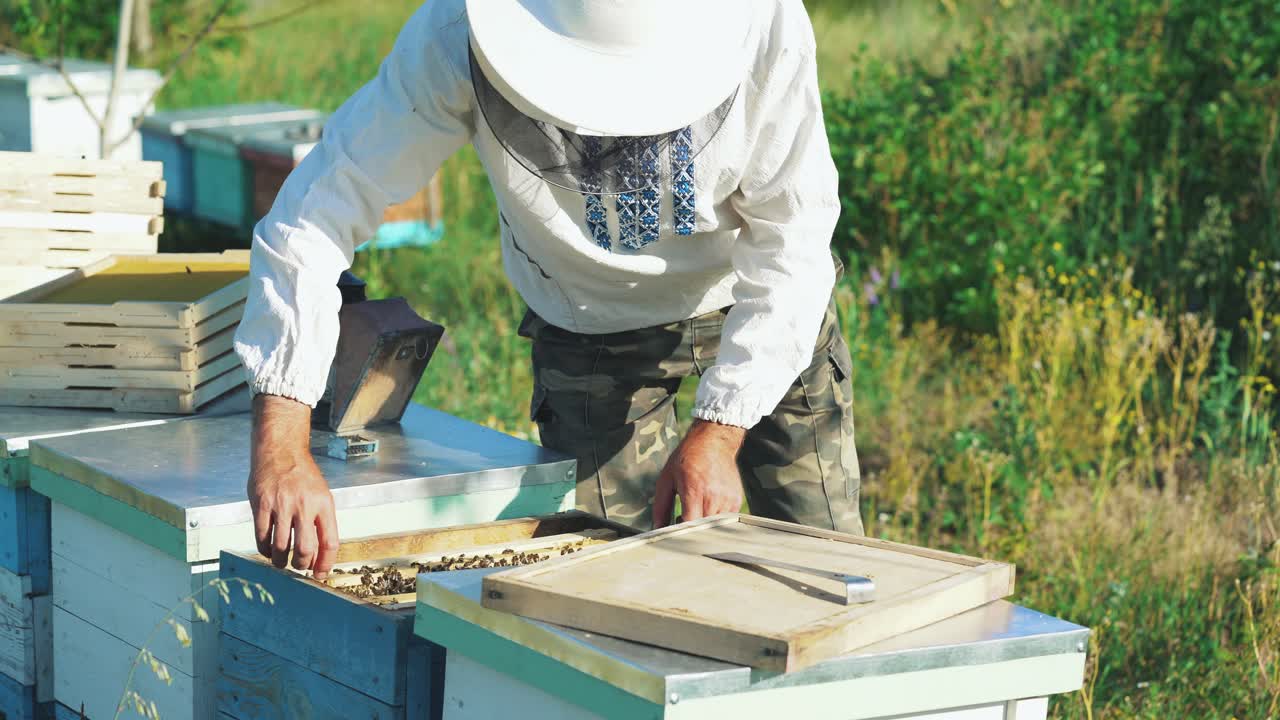 L'apicoltore lavora con api e arnie nell'apiario. Telaini di un'arnia