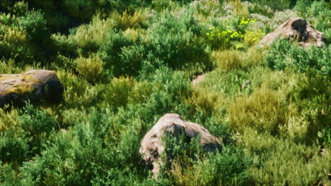 Grandes-Rocas-En-El-Campo-Con-Hierba-Seca