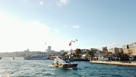 seagulls in front of luxury yacht on bosporus strait in sunny istanbul