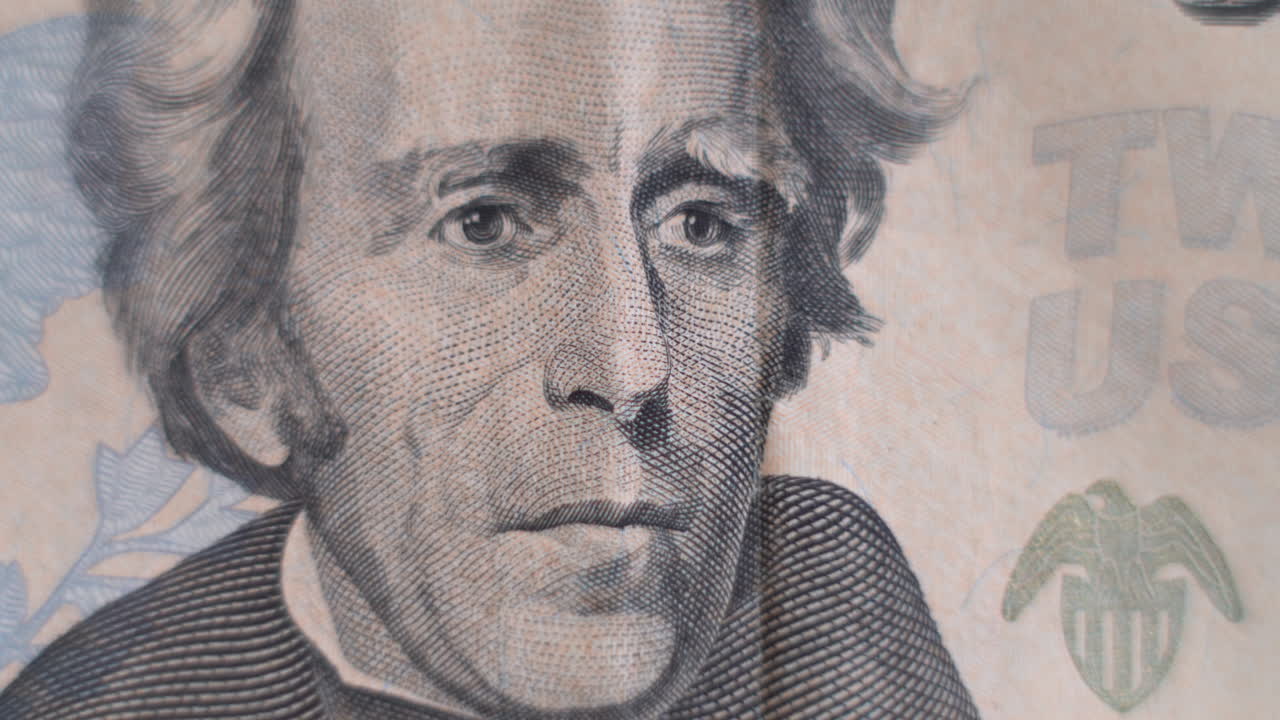 매우 자세하게 미국 20달러 지폐의 매크로 보기