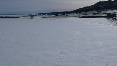 A-flight-over-a-snow-covered-prairie