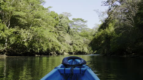 jungle river boat trip