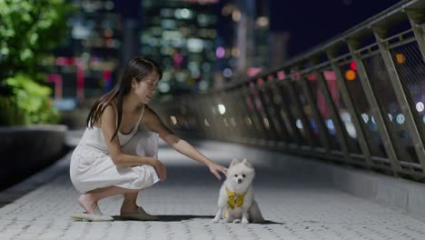 Pomeranian-Hund-Und-Asiatische-Frau-Im-Freien-Bei-Nacht