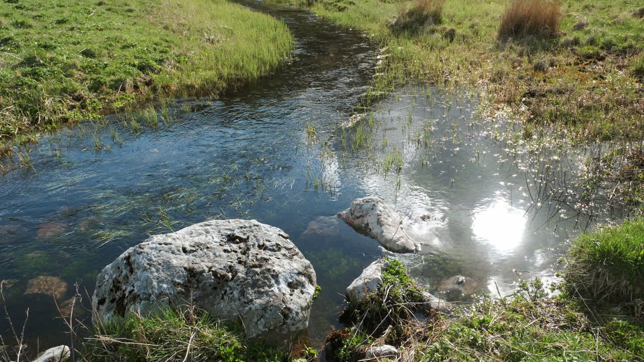 fotografía estática de un arroyo de montaña limpio y potable con plantas acuáticas