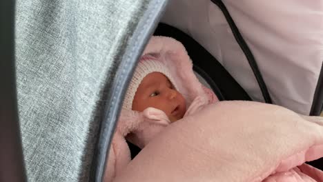 adorable little newborn baby girl wrapped in pink and quiet in her carrier