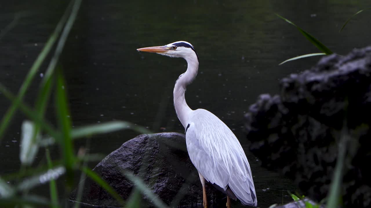 도쿄 최고의 전망