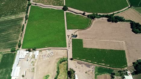 imágenes de drones de 60 fps de un bonito paisaje del valle chileno lleno de viñedos