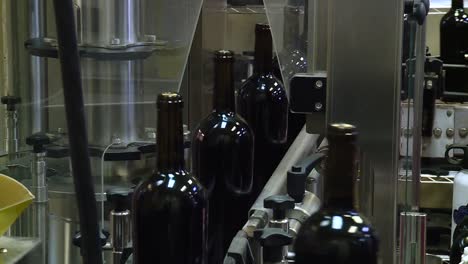 wine bottles on convey belt