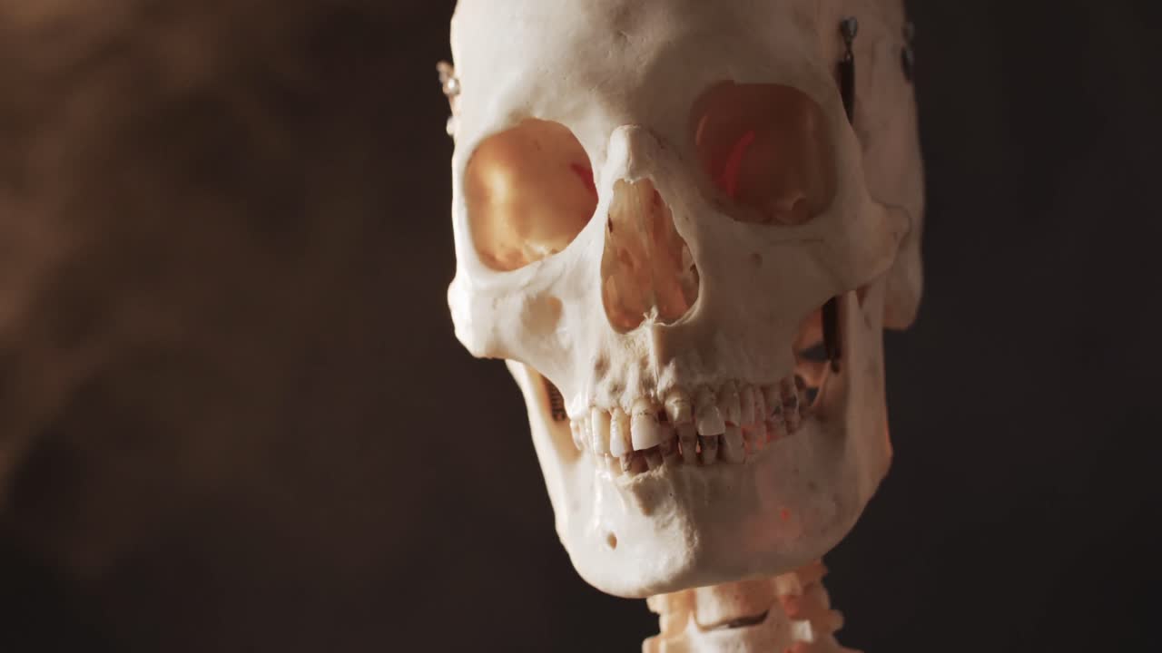 video di close-up del teschio e dello scheletro di halloween e copia lo spazio su sfondo nero