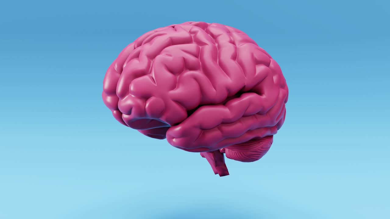 3D animation of human brain anatomical model on blue background