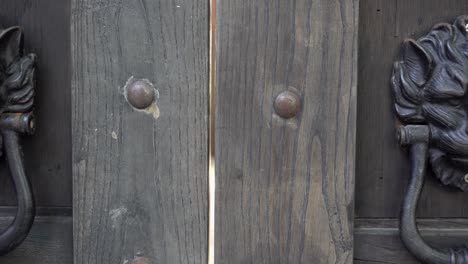 lion head door handle.