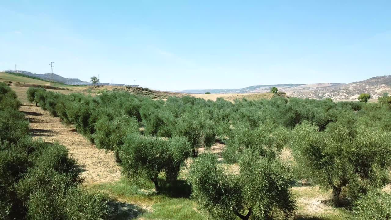 시골의 드론 샷