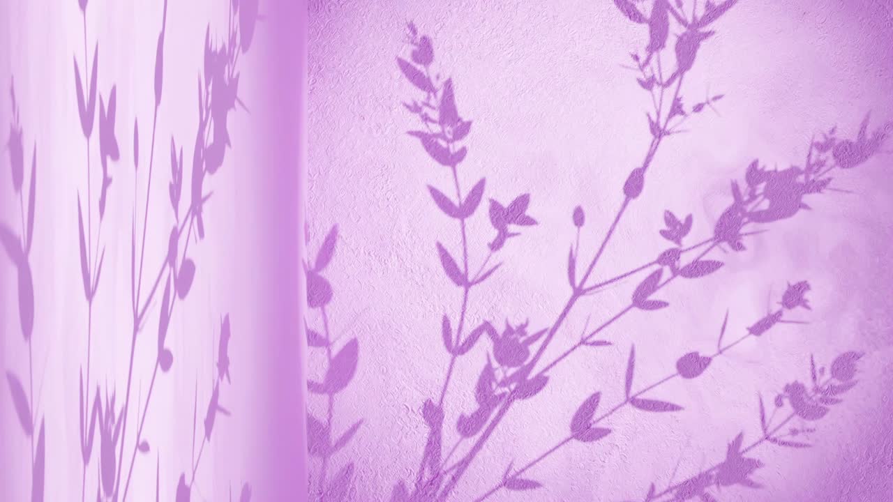 esquina de pared con fondo rosa y sombra de planta árbol naturaleza moviéndose por la brisa suave renderización animación exhibición de productos comercio electrónico tienda en línea venta descuento