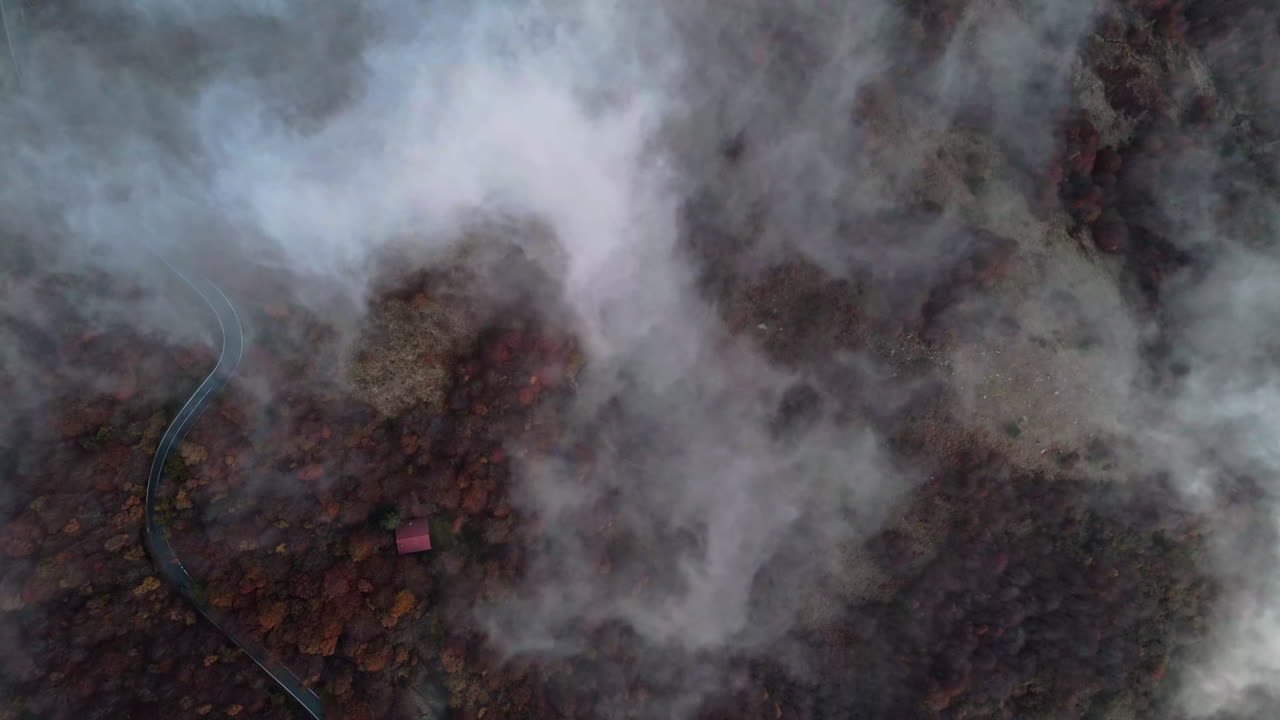Vista aerea di una foresta nebbiosa in autunno, per un’atmosfera inquietante e tranquilla