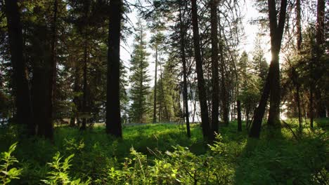 Geländewagen-Fährt-Entlang-Der-Wunderschönen-Uferstraße-Am-Payette-Lake-In-Idaho