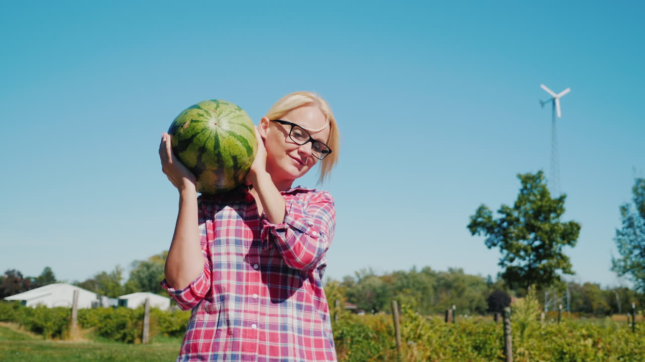 농장에서 수박을 나르는 여자