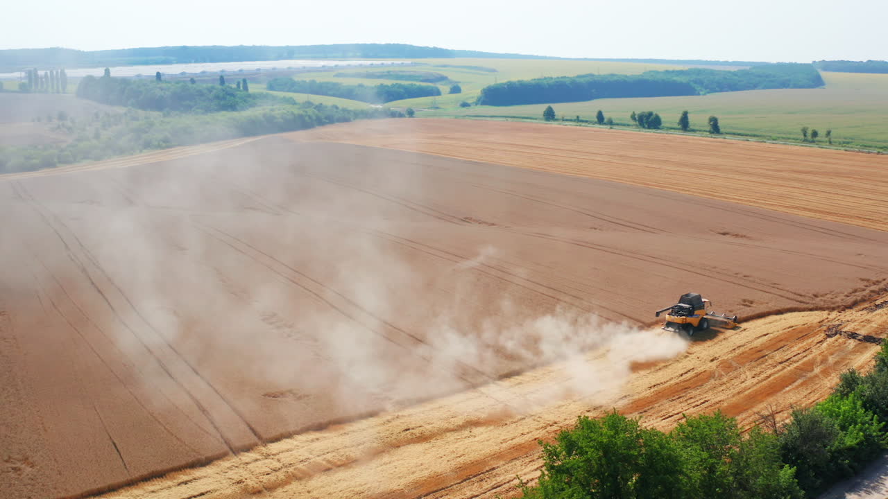 Beautiful ripe wheat field being mowed by modern harvester machines. Powerful combines working in the farmlands. Wonderful scenery at background.