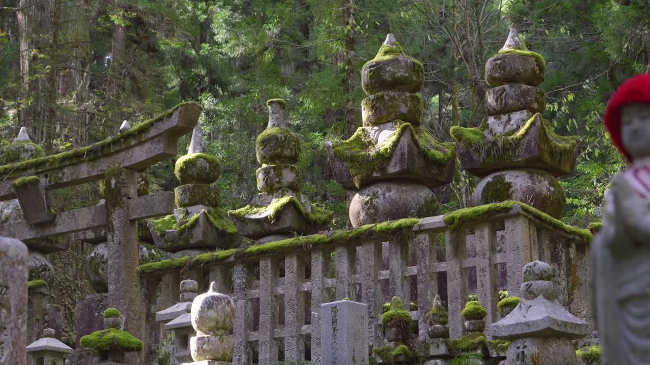 hermoso paisaje cinematográfico en los terrenos del templo cubiertos de musgo en japón