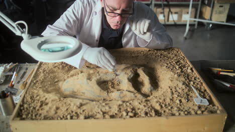 paleontologist examining fossil footprint