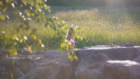 Niña-Sonriente-Feliz-Corriendo-Por-El-Campo-De-Verano-Detrás-De-Un-Viejo-Muro-De-Piedra,-Cámara-Lenta,-Concepto-De-Infancia-Despreocupado