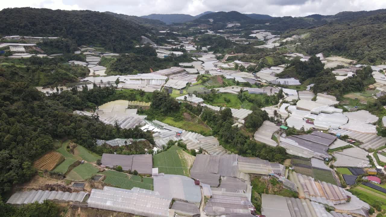 말레이시아의 카메론 하이랜드 지역 내의 브린창 지역의 일반 풍경