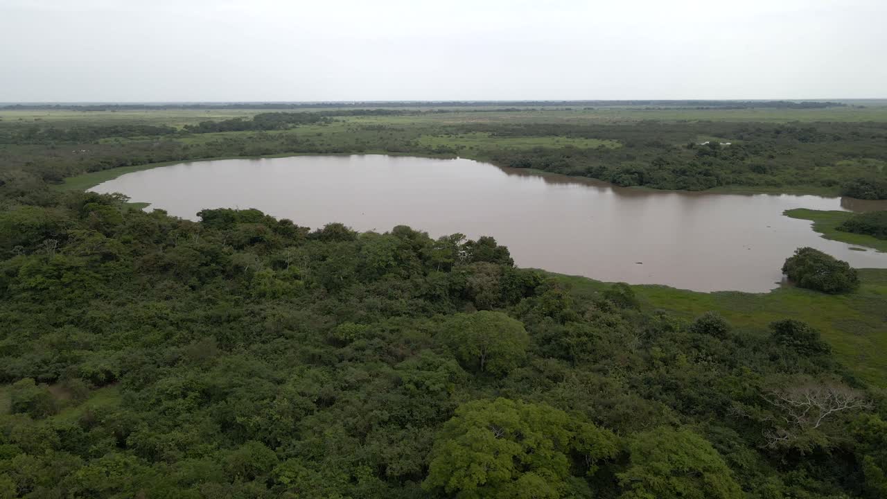 Aerial ascend above Rio Yacuma winding through the Bolivian pampas, surrounded by lush greenery