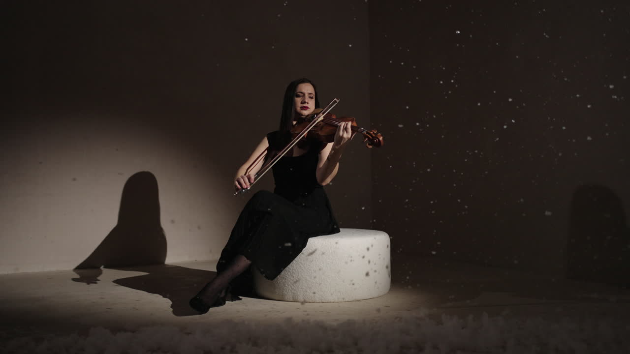 скрипальщик в зимней стране чудес