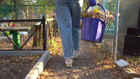 rear view. woman walks between graves with bucket of collected dry leaves