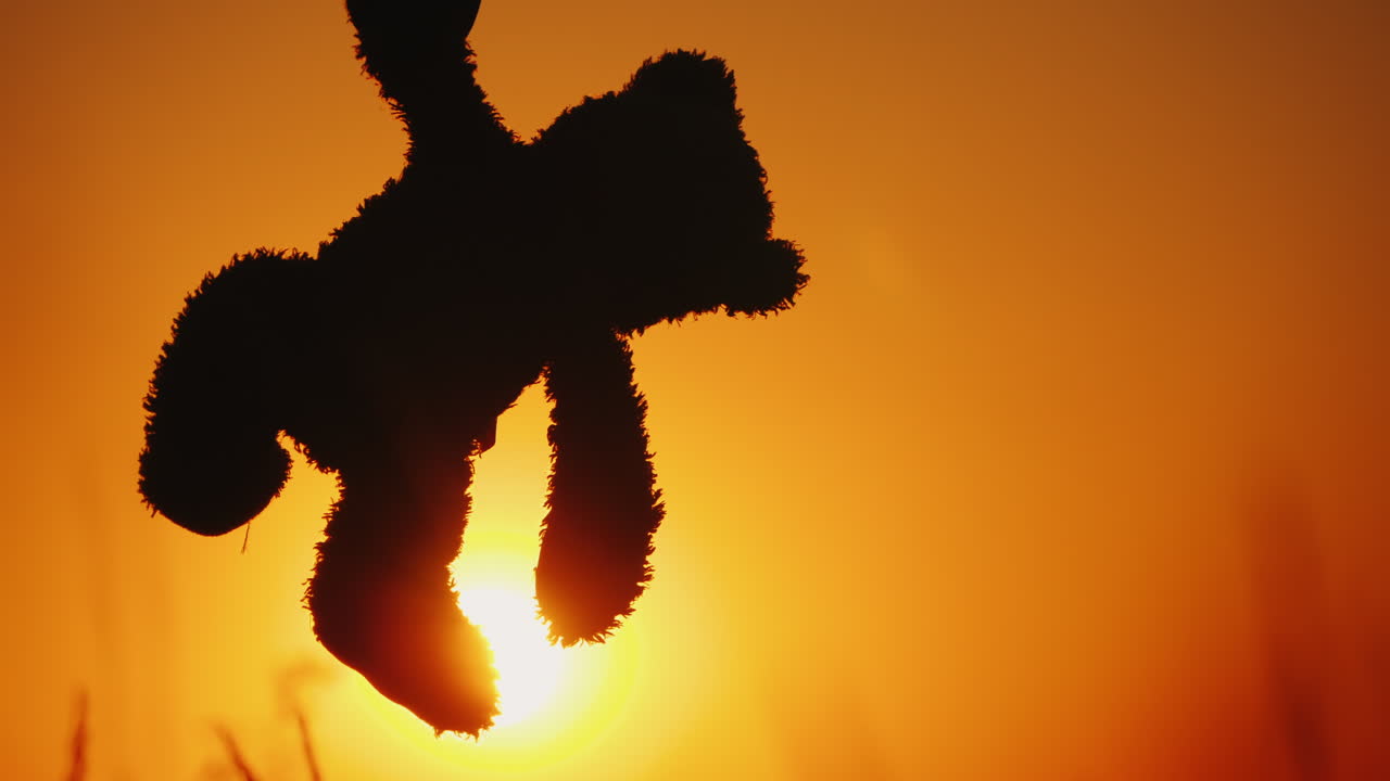 Uma criança está segurando um urso de aparência feroz pela pata contra o sol poente e o céu laranja.