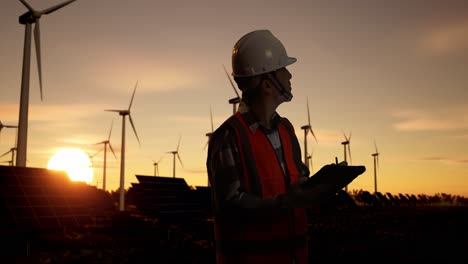 engineer inspecting renewable energy farm at sunset