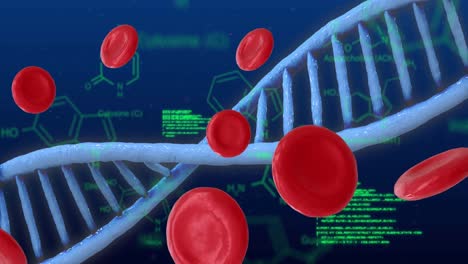 Animation-Menschlicher-Körperzellen-Und-DNA-Strang-Sowie-Medizinische-Symbole-Auf-Blauem-Hintergrund
