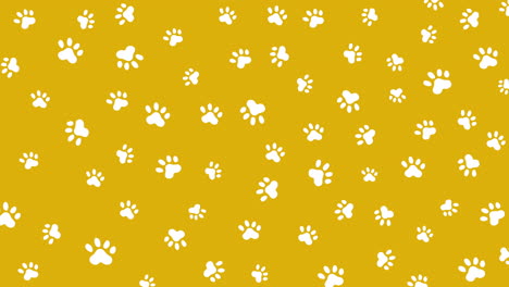 animated paw prints of a cat or a dog on a yellow animal background. looped motion graphics.