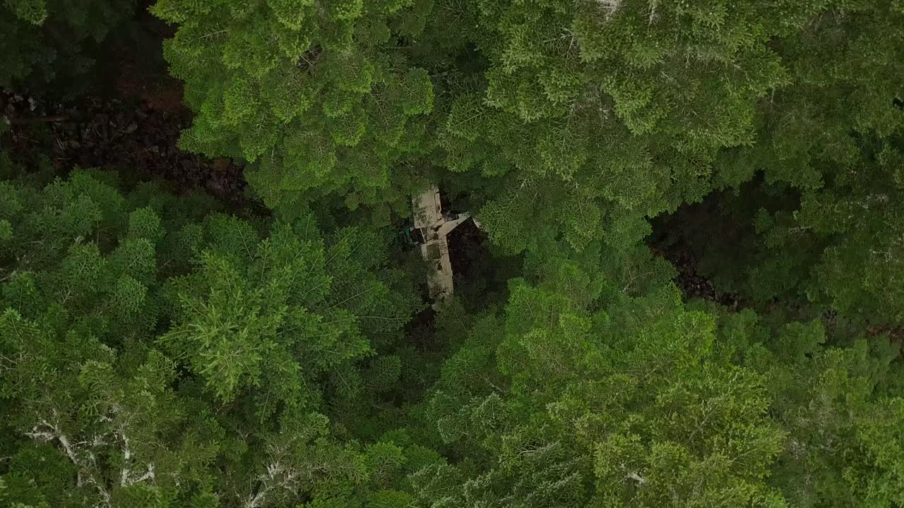 de arriba hacia abajo panorámica disparo de un avión estrellado en un bosque en francia