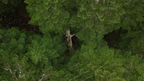top down panning drone shot of a airplane wreck in a a forest in france