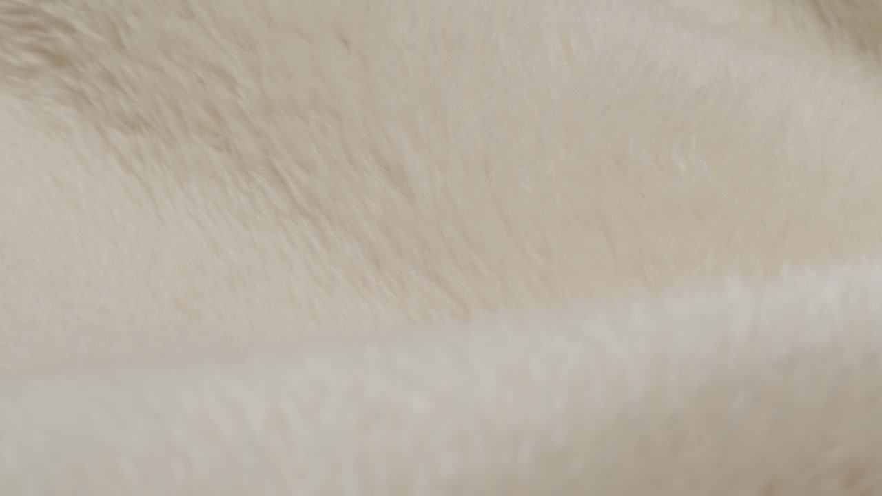 Close-up of White Fur Texture