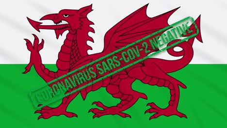 wales swaying flag with green stamp of freedom from coronavirus, loop