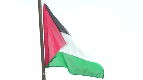 bandera de palestina soplando en el viento en un poste de bandera con un fondo blanco